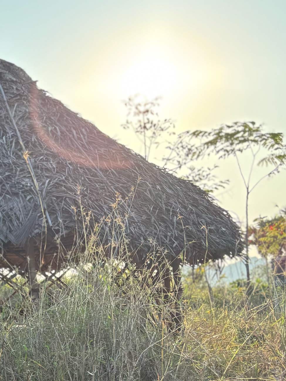Arunachala Gurukulam