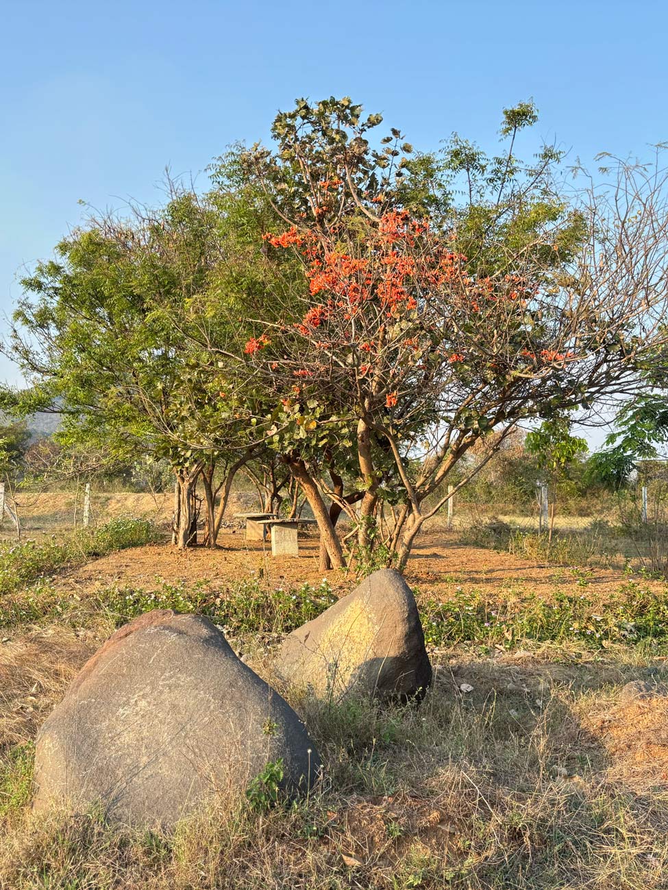 Arunachala Gurukulam